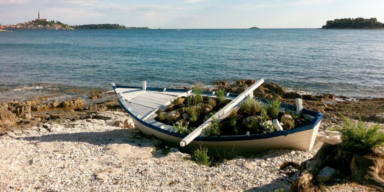 Haus Roko Apartment Rovinj Exterior photo